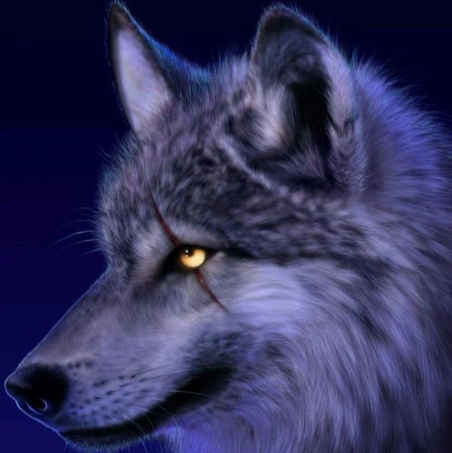 gise131095's profile picture. 