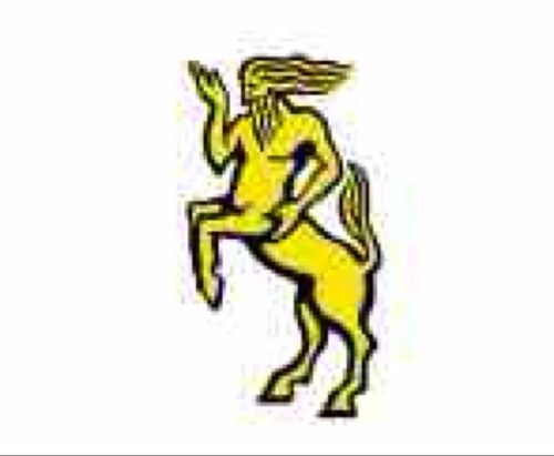 Mellish_RFC's profile picture. Mellish RFC Black, green and gold forever! Rugby for men, women and children. One sport, one club, one twitter feed!