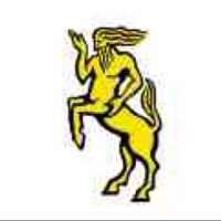 Mellish RFC (@mellish_rfc) Twitter profile photo
