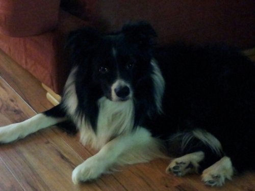 sarahmiles75's profile picture. 