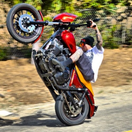 BuddySuttle's profile picture. 