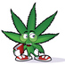 UMD Weed Guy (@umdweed) Twitter profile photo UMD Weed Guy (@umdweed) Twitter profile photo