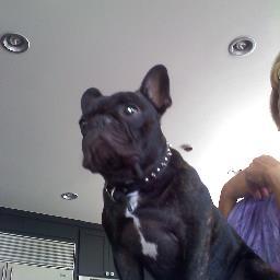 booride's profile picture. Twin Palms Boat & Rv Storage.....
Shaffer Awards......NHRA.....Classic Car Collector.....& a Junior on A Fixed Income