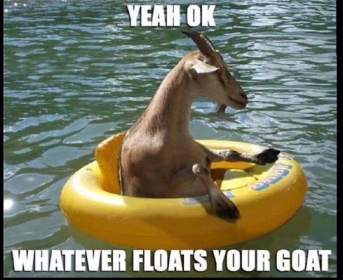 I follow back xxx
