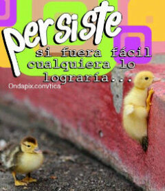Paciencia y persistencia