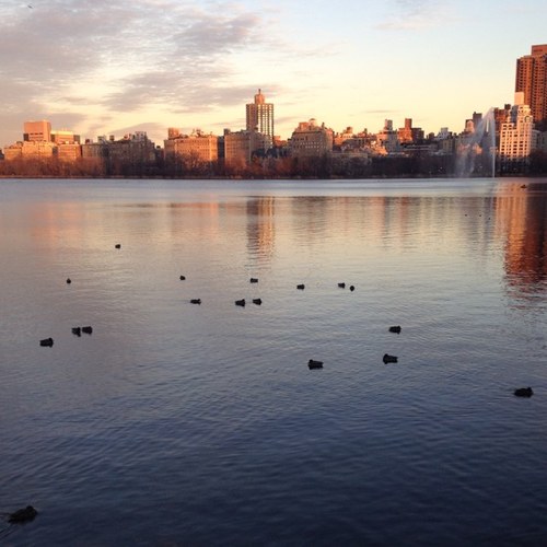 AliHokin's profile picture. 