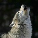 Rob Clevenger - @robclev - Twitter