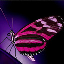 Morgan Hardin - @HardinMorgan - Twitter