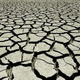 DownAndDrought's profile picture. News and Analysis from Phoenix

#arizona #phoenix #news