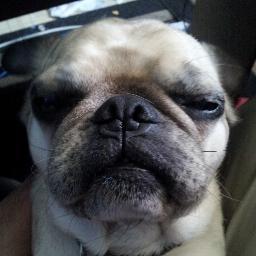 Tehsatanator's profile picture. 