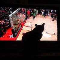 MZ (@emziemoegone) 's Twitter Profile