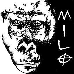 Milo is an indie rock band located out of Lebanon Valley College.  Listen. @nosterthepeople , @froggheart , @cadenmmyers , eric