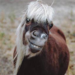 michaelcomedy_'s profile picture. I'm here for the jokes and hockey insights. I contribute neither.