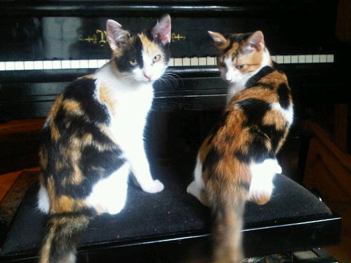 ninaloupie's profile picture. 