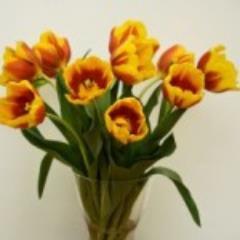 http://t.co/gh4LNjS6hd
