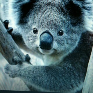 DeniseB37259687's profile picture. 