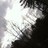 Kelmel1010's profile image