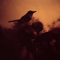 Juan Miguel Ruiz (@mikemotion) 's Twitter Profile