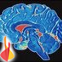 Troy Schmanke, Ph.D. (@braindamagenet) 's Twitter Profile