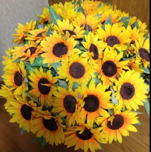 eternalINTI's profile picture. 『ここに咲く ヒマワリたちに贈ります』 って言ってくれる日を待ってるSOPHIANS→SOPHIA復活がすごく嬉しいSOPHIANS