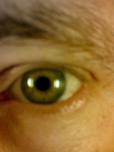 Tom_Wiggins's profile picture. 