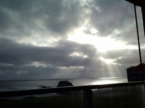 mag_mur's profile picture. Progressive who want this country to move forward. Fan of Seattle Seahawks & Seattle Mariners.