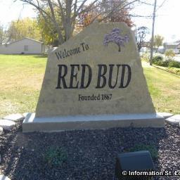 redbudpeople's profile picture. 