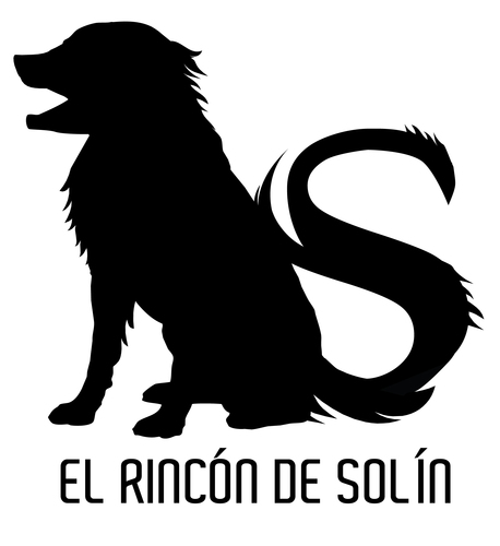 https://t.co/NzBUBodiKY / Un rinconcito animalero. Cursos y talleres. Jueves 10am La Covacha animalera por https://t.co/dmapusmf1t
