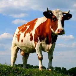 xylman's profile picture. 