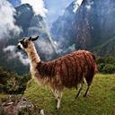 David Bruch - @David_Bruch - Twitter