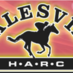 Healesville Races (@healesvillerace) Twitter profile photo