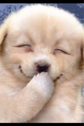 with love～♪自分の “心” に響くものだけを信じて。。。96'ロンバケ♪98'VIVA AMIGO♪木村拓哉さん大好きです💓♥️❤️☺皆が笑顔で居られますよーに🍀時々💕tarot culture講師💜時々💕占い師(プロﾃﾞｽ～🎶)🔮💕
