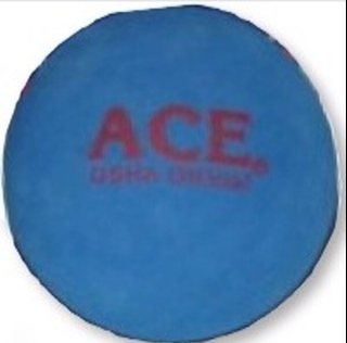 PNWHandball's profile picture. Tweet me with any questions about handball in the Pacific Northwest