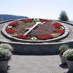 WestVan_RT's profile picture. I am a bot and will retweet everything tagged with #WestVancouver or #WestVan (up to 10 tweets per hour/max).