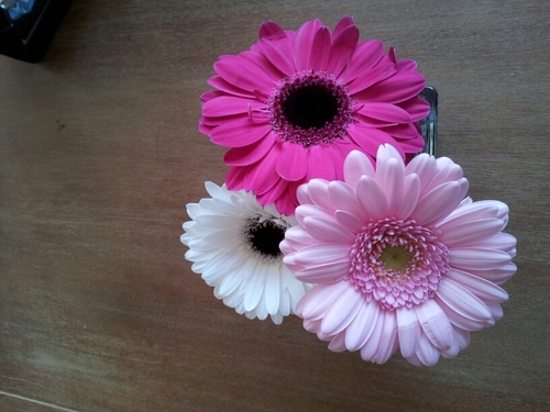 murphyjudith's profile picture. muziek. festival. kapster. woon samen.