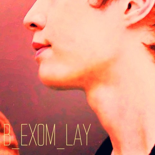 @B_EXOM_LAY