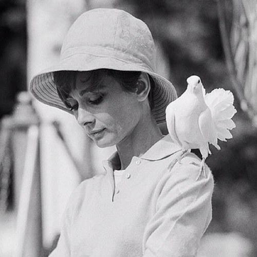 audreyhulet's profile picture. Lettering lover and insatiable traveler. Graphic & Motion Designer @MSF