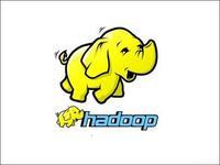 二手程序员，航模爱好者，极限运动观摩者 后端：Java，Clojure，Rust ，Hadoop，Flink，Doris等大数据技术试错工程师