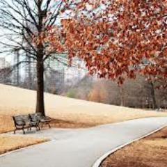 Educate, Go Green, Organic, Loves Mother Earth, Avon Rep