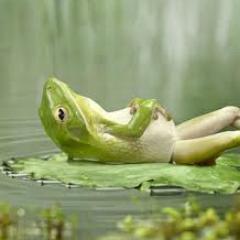 BartlettDaz's profile picture. Barrister - all views my own