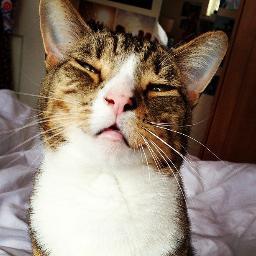 Je suis une fille active qui adore les animaux !