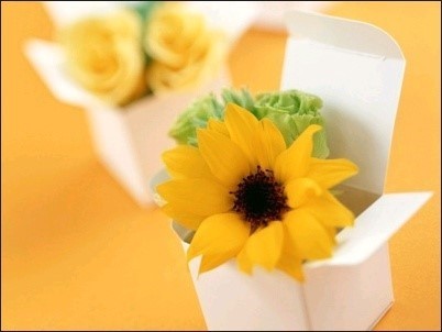 안녕하세요~~ ^^

Hello~~ : )