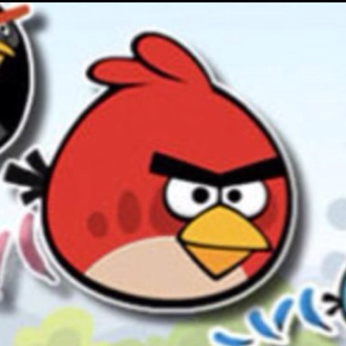 angry bird