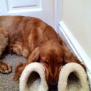 Joanne Munn - @JoanneMunn - Twitter