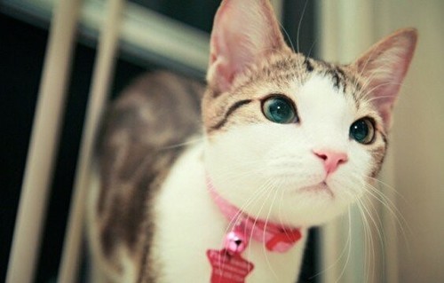 rinmlove's profile picture. 자의식이 너무 강하면 고집쟁이 너무 없으면 우유부단.