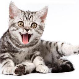 VetReminder Profile Picture