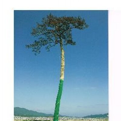 佐藤竜一 Twitter