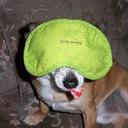 james bailes - @harryherring - Twitter