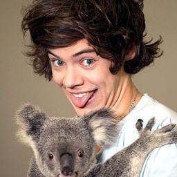 HELLO, i'm meshi and i'm a directioner BIGTIME! @harry_styles please follow me if you want world  peace... well let's start with that! I FOLLOW BACK :)