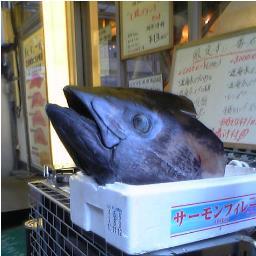 刀剣乱舞審神者。石沼、洋裁沼にいます。最近は晩御飯報告アカウント